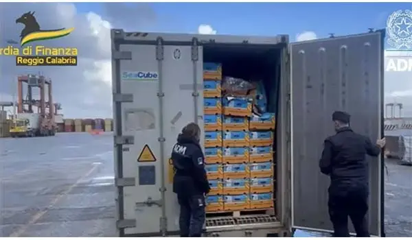 Maxi sequestro di cocaina al porto di Gioia Tauro: intercettati 27 kg nascosti tra le banane