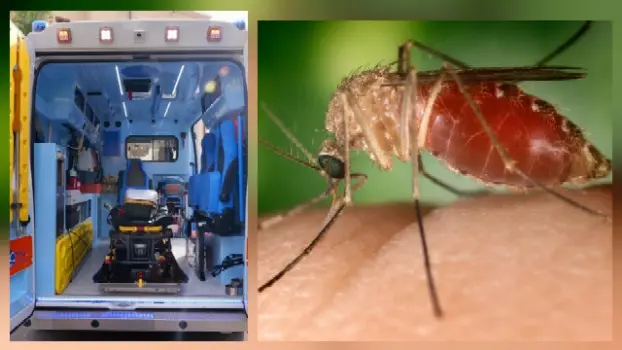 Virus West Nile: primo decesso confermato e nuovi casi gravi in aumento