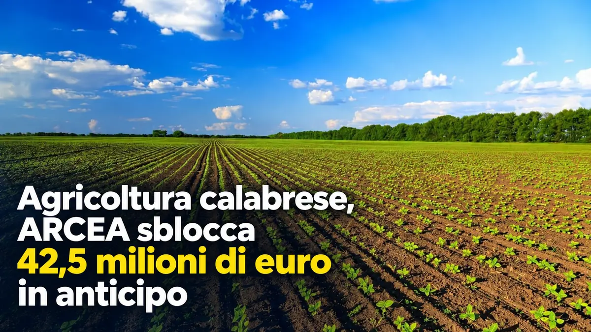 Agricoltura calabrese, ARCEA sblocca 42,5 milioni di euro in anticipo