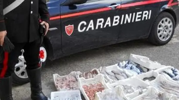 Blitz dei Carabinieri ad Agrigento: sequestrati 270 chili di pesce non tracciabile