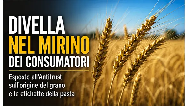Divella nel mirino di Codacons e Adusbef per l’origine del grano nella pasta