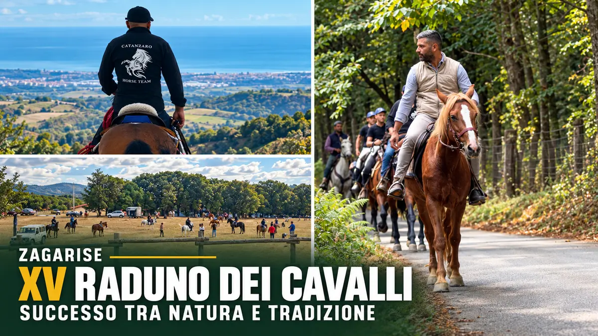 Zagarise, successo per il XV Raduno dei Cavalli dell’associazione I Cavalieri tra natura e tradizione