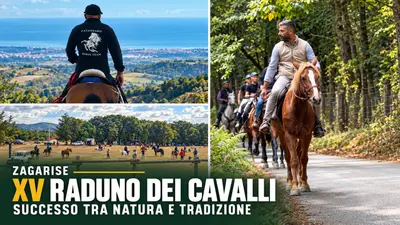 Zagarise, successo per il XV Raduno dei Cavalli dell’associazione I Cavalieri tra natura e tradizione