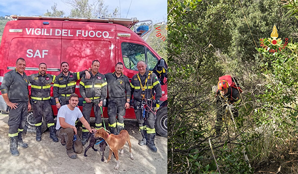 Catanzaro, Vvf salvano due cani caduti in un dirupo a Janò
