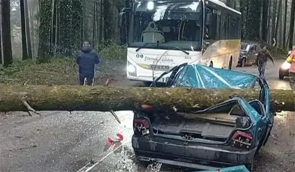 Maltempo nel Vibonese: albero cade su un’auto a Serra San Bruno, conducente ferito