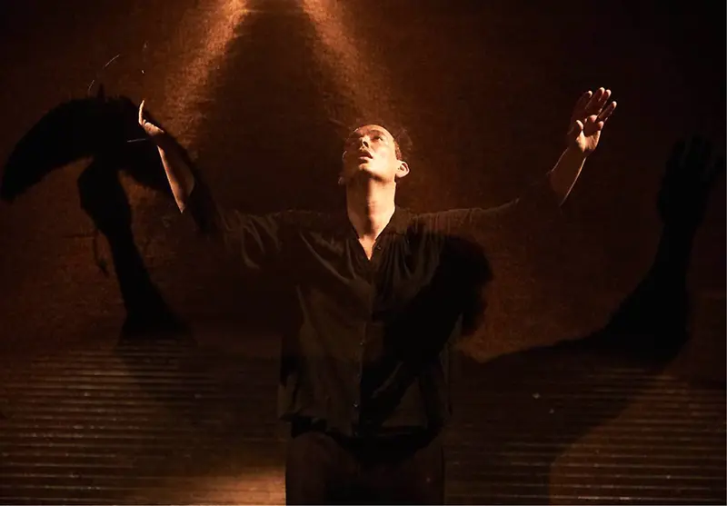 Oltre la linea 2026: si apre il sipario sulla rassegna di danza contemporanea al Teatro Elicantropo