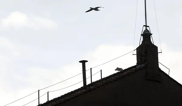 LIVE | Conclave 2025: oggi seconda giornata di votazioni, fumate alle 12 e 19 – Video in diretta da San Pietro