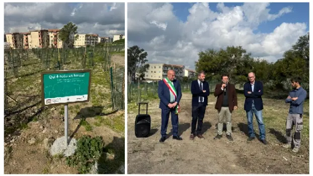 Bosco urbano a Crotone, il sindaco Vincenzo Voce inaugura il nuovo polmone verde con oltre 2.200 alberi