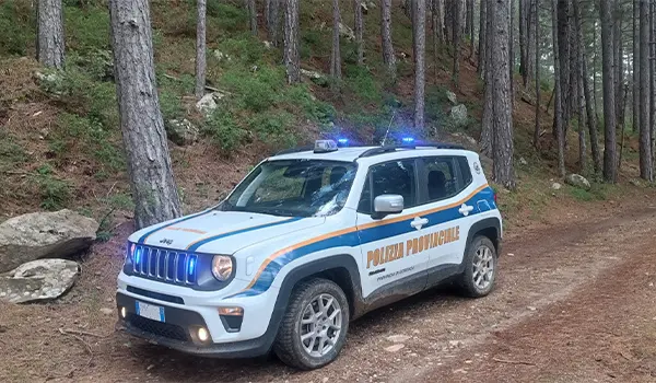 Si perde nei boschi della Sila, ritrovato dalla Polizia Provinciale in breve tempo