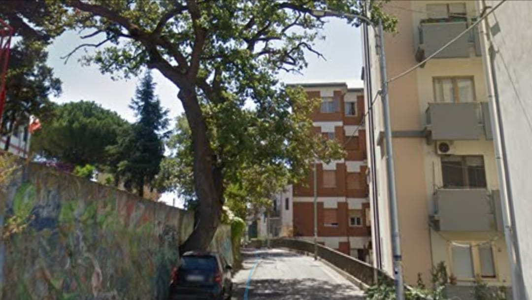 Catanzaro: bloccato il traffico veicolare e pedonale causa alberi pericolanti intervento dei VVF