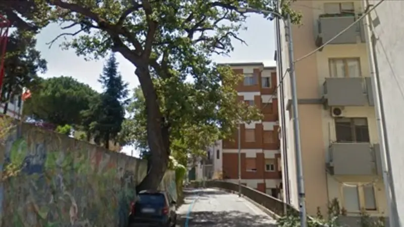Catanzaro: bloccato il traffico veicolare e pedonale causa alberi pericolanti intervento dei VVF