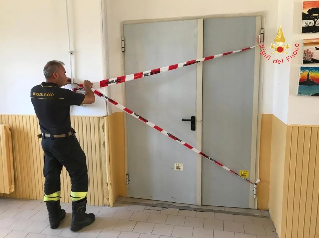 Catanzaro invasione di calabroni nella scuola "Lampasi" e "Todaro" intervento dei VVF