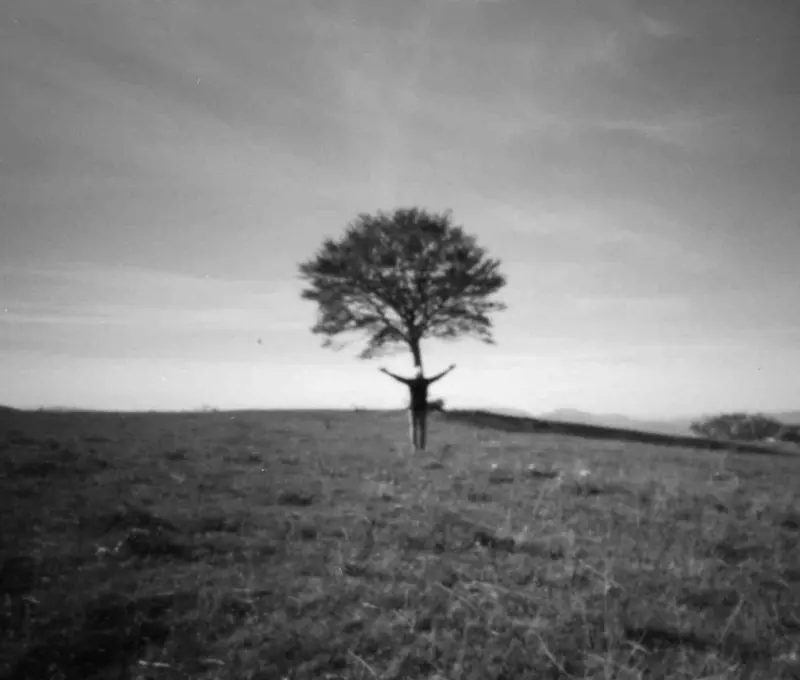 Sequenza/Occasioni