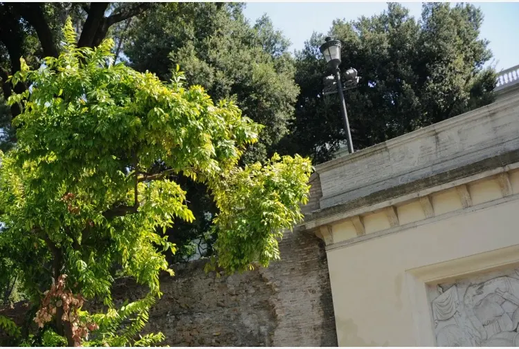 Roma, 84enne si lancia dalla terrazza del Pincio: morto sul colpo