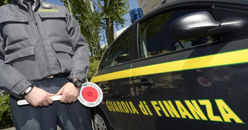 Droga: sequestro piantagioni in Calabria, 'affare' da 36 mln