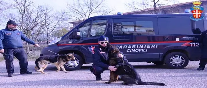 In auto con oltre un chilo cocaina, arresto nel Cosentino