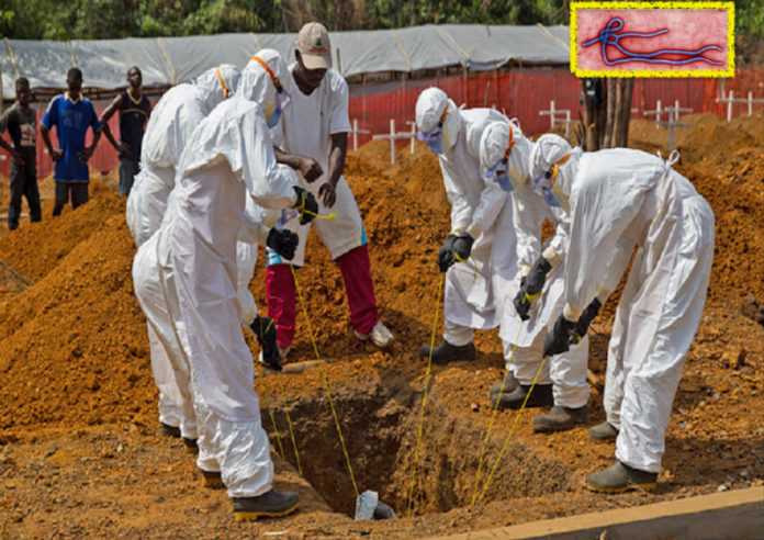 Ebola, nuova epidemia in Congo: 20 morti