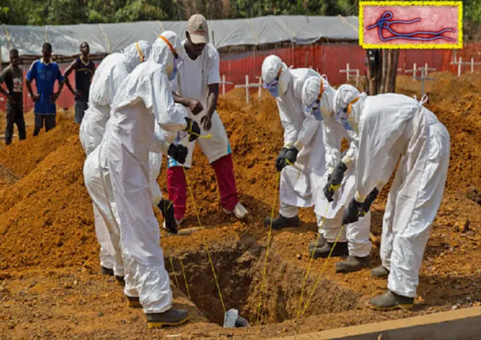 Ebola, nuova epidemia in Congo: 20 morti