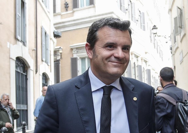 Xylella, Centinaio: "Anche M5S sa che non c'è tempo da perdere"