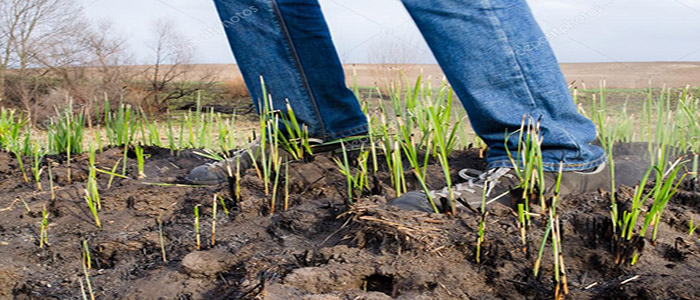 La libertà di poter scuotere la polvere dei propri piedi