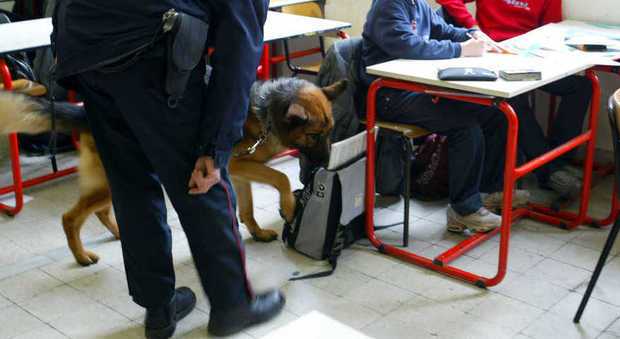 Firenze, spacciavano droga nei bagni della scuola: cinque studenti indagati