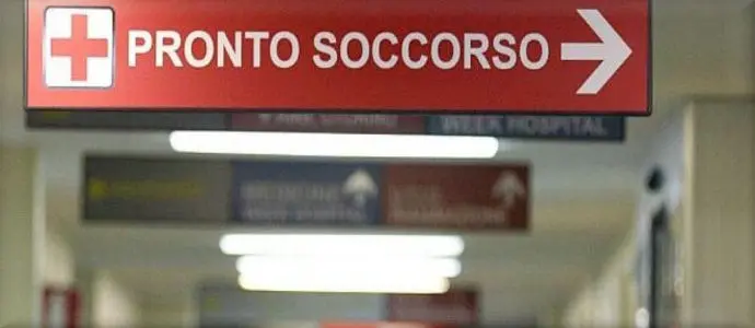 Bimbo azzannato da due alani, 200 punti di sutura