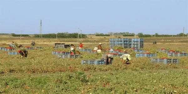 Facevano lavorare i dipendenti per 3 euro l'ora. Denunciati 5 imprenditori