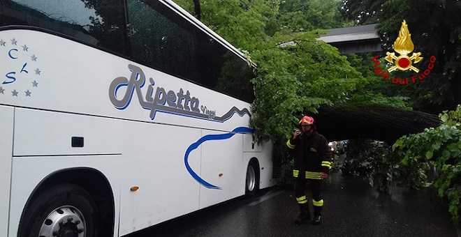 Firenze: albero si abbatte su bus turistico, diversi i feriti