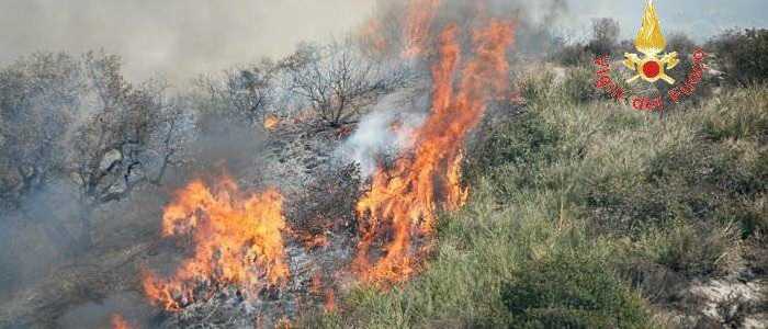 Incendio a Girifalco, intervengono i Vigili del Fuoco