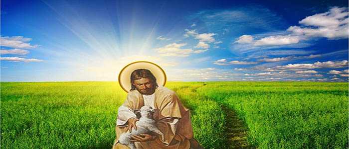 Quarta domenica di Pasqua: Il Buon Pastore dà la propria vita per le pecore.