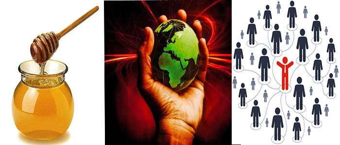 Il miele, il potere e i nuovi clienti!