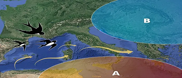 Meteo: Ecco la Primavera 2018, Temporali e sbalzi termici, previsioni su Nord, Centro, Sud e Isole