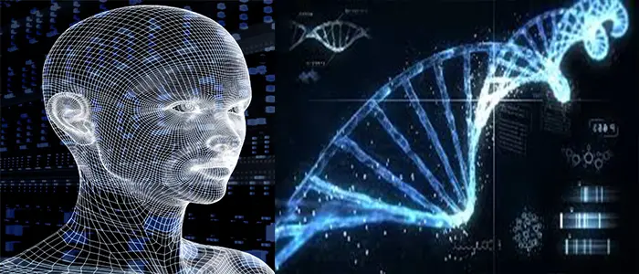 L'intelligenza in 500 geni, pronta la prima mappa "basati sul Dna"