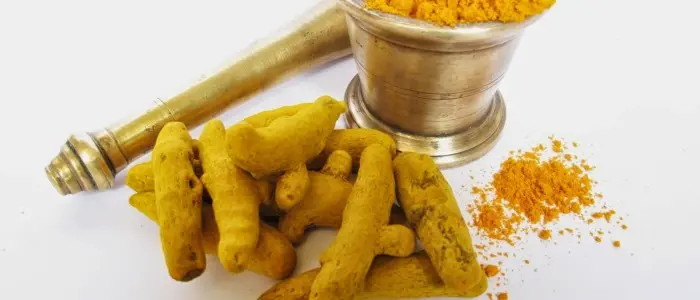 Curcuma: proprietà e benefici della spezia ayurvedica per eccellenza