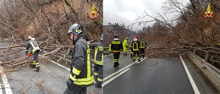 Maltempo: Smottamento SS107 caduta di diversi alberi sulla sede stradale intervento dei VVF (Foto)