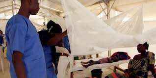 Nigeria: cresce epidemia febbre di Lassa, 31 morti da inizio anno