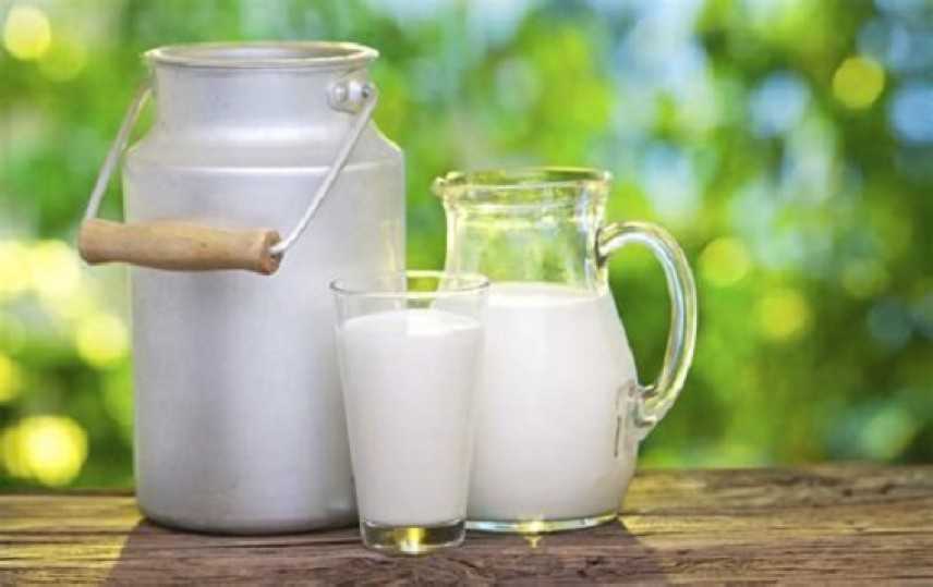 Il latte fa veramente male? Scopriamolo insieme