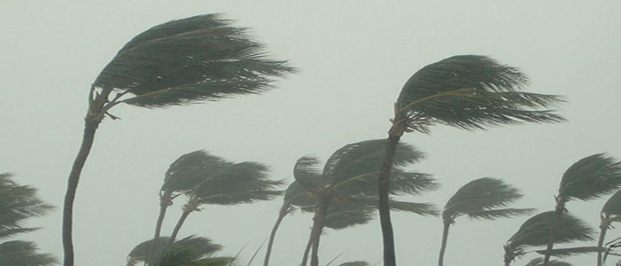 Protezione Civile. Allerta Maltempo: venti forti al Centro-Nord allerta, arancione in Veneto