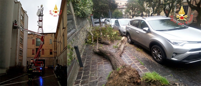 Il vento impetuoso mette alla prova i Vigili del Fuoco di Catanzaro (Foto)