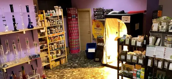 Guida Magica Italia, growshop presenti in otto città su dieci