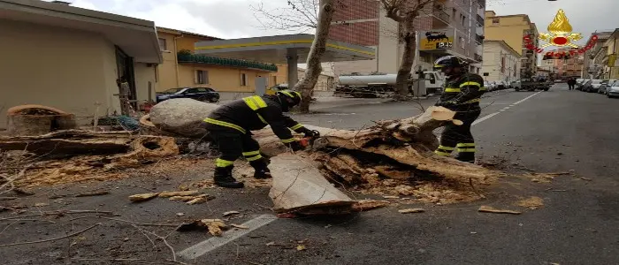 Catanzaro, per i VVF ancora interventi causati dal maltempo (foto)