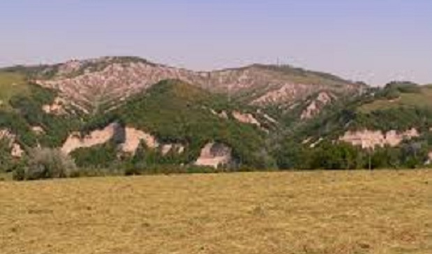 Nuovi ritrovamenti nella necropoli etrusca nel Bolognese