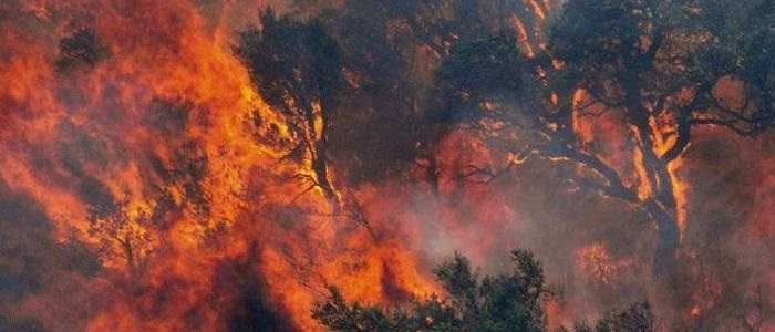 Incendi: Sardegna, 95 indagati; 3 minorenni arrestati