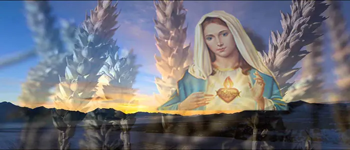 Ave-Maria: Ha soccorso Israele, suo servo, ricordandosi della sua misericordia