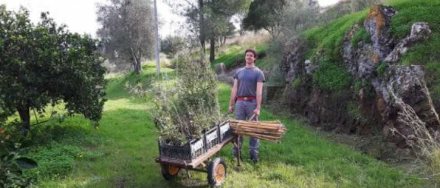 Sicilia: 250 alberi per far rinascere un bosco devastato dagli incendi. L'iniziativa di due giovani