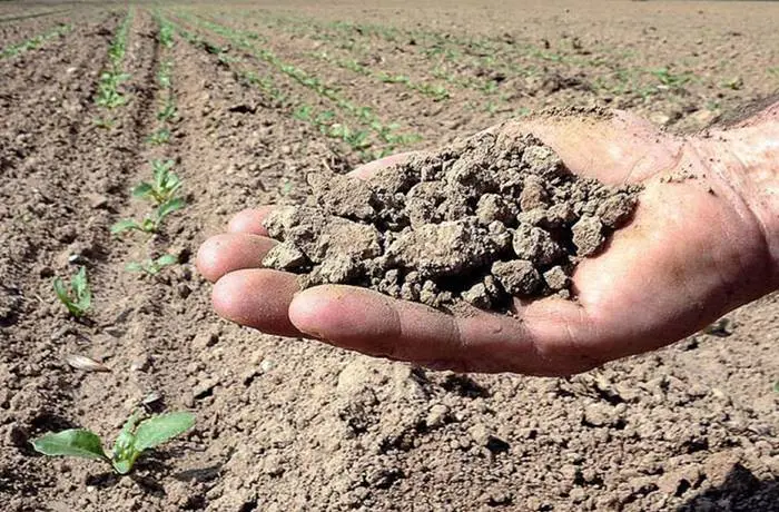 Precipitazioni in calo: è allarme siccità al nord