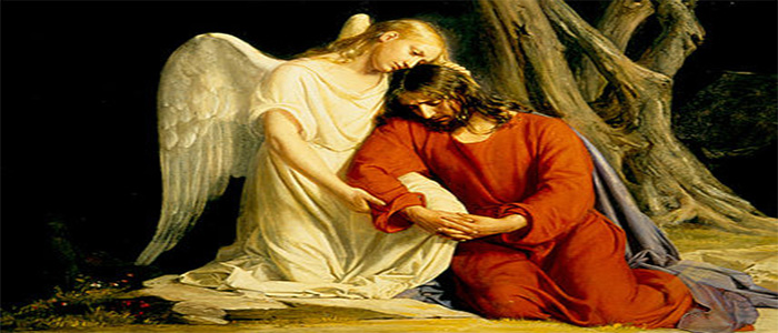 L'Alfabeto della fede: Angeli e Anima