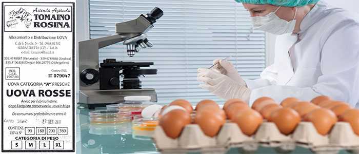 Asp Catanzaro: Uova contaminate pericolose per la salute riscontrate dal servizio veterinario