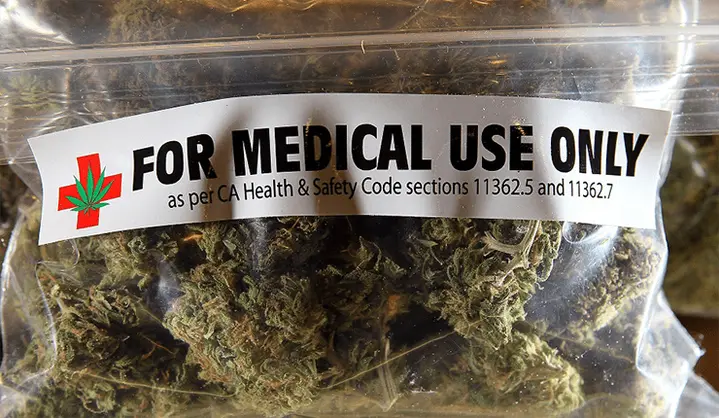 Cannabis, la Puglia valuta produzione a scopo terapeutico