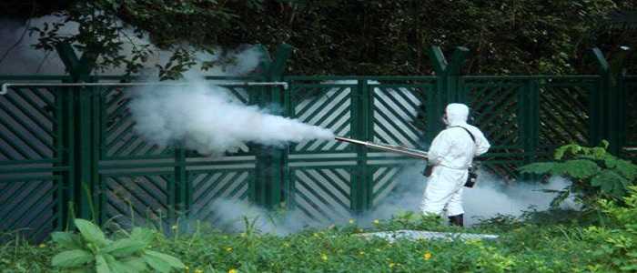 Allerta virus Zika a Rimini, uomo torna contagiato da Cuba